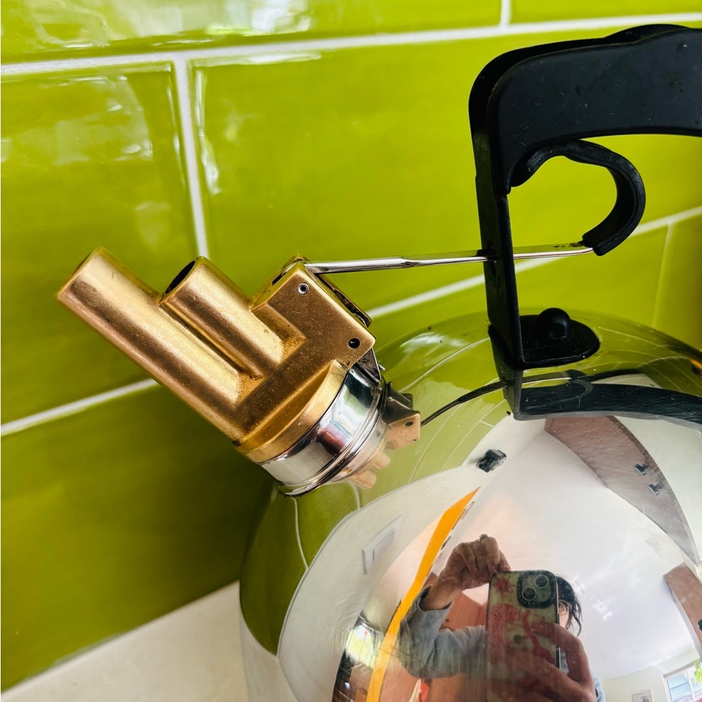 Alessi 9091 stainless steel kettle with brass double barrel spout +copper bottom - Picture 4 of 10